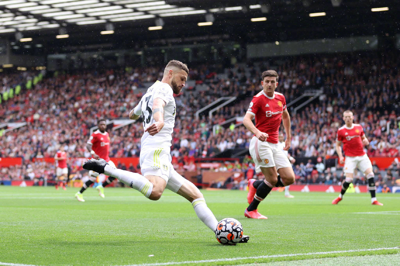 积极向上的 积极向上的